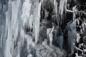 Water was dripping through crevices on the rocky embankment, creating such interesting icicles!