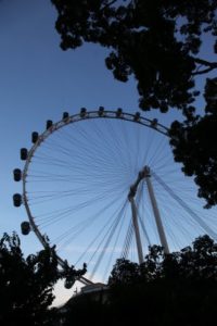 Another view of the Singapore Flyer