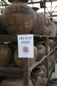 This sign is warning visitors not to feed the many monkeys located around TK Pottery.  They are wild and can be dangerous.