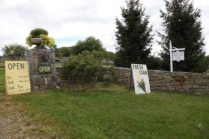 The entrance to Daisy Hill Farm is located at 214 West Patent Road in Bedford, New York.