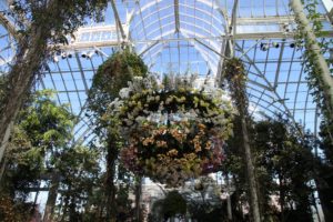 This enormous 'chandelier' was composed of beautiful orchids.