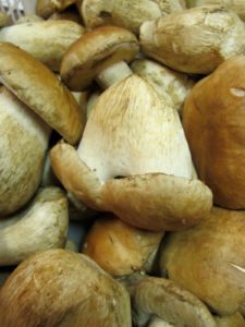 These porcini mushrooms, known as the king of mushrooms for their intense flavor and meaty texture, were imported from South Africa.