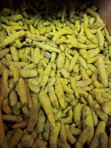 Dried turmeric - an ancient spice is commonly used as a dye and condiment and has numerous medicinal properties.