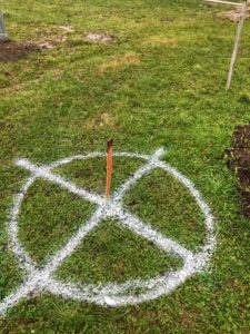 The crew uses marking spray, often used for landscaping jobs, to indicate exactly where each tree will be planted.
