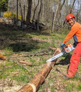 STIHL’s most well-known tool is the chainsaw. STIHL designed and built its first electric chain saw in 1926 and 94 years later, it is still one of its best pieces of equipment. The chainsaw has soft grips for comfortability and secure maneuverability. And this one is run on an AP 300 S Lithium-Ion Battery, which is powerful and compatible with a wide range of tools, including extended-reach hedge trimmers, pole pruners, chainsaws, and blowers. Pasang is an experienced chainsaw user. Here, he is just showing where he used it to cut this log - it was not turned on for this photo.