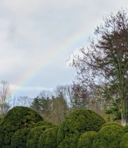 The day was filled with on and off showers, and just as we were about to begin our broadcast, we saw this wondrous rainbow. It was a beautiful early evening sight. I hope you are all able to take advantage of the outdoor splendor around your home this spring.