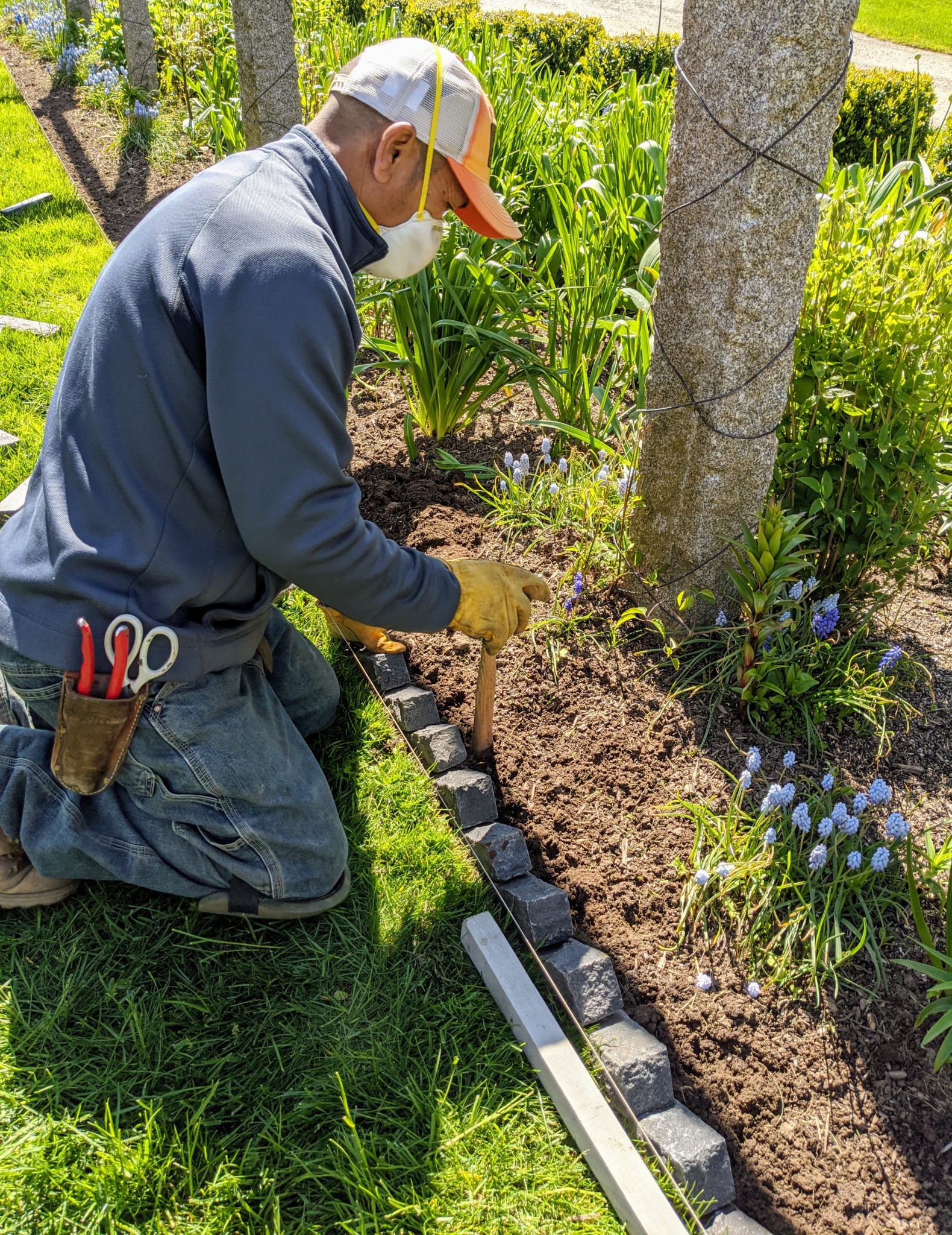 Transforming the Paths Under My Winding Pergola - The Martha Stewart Blog