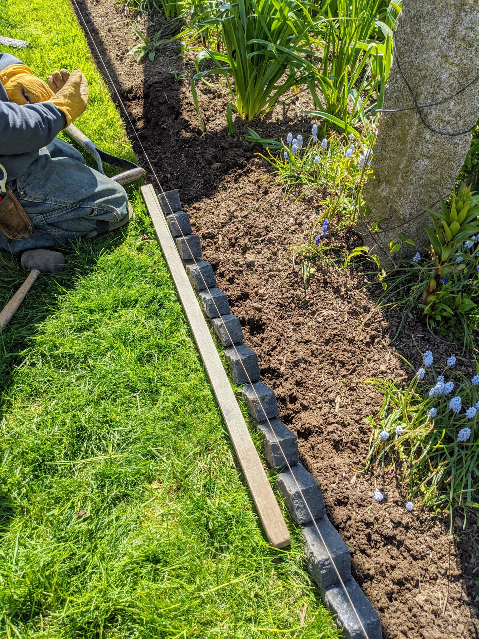 Transforming the Paths Under My Winding Pergola - The Martha Stewart Blog