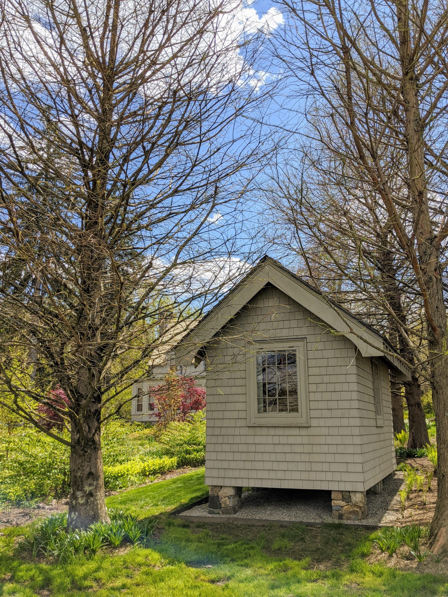 My Thriving Stewartia Garden - The Martha Stewart Blog