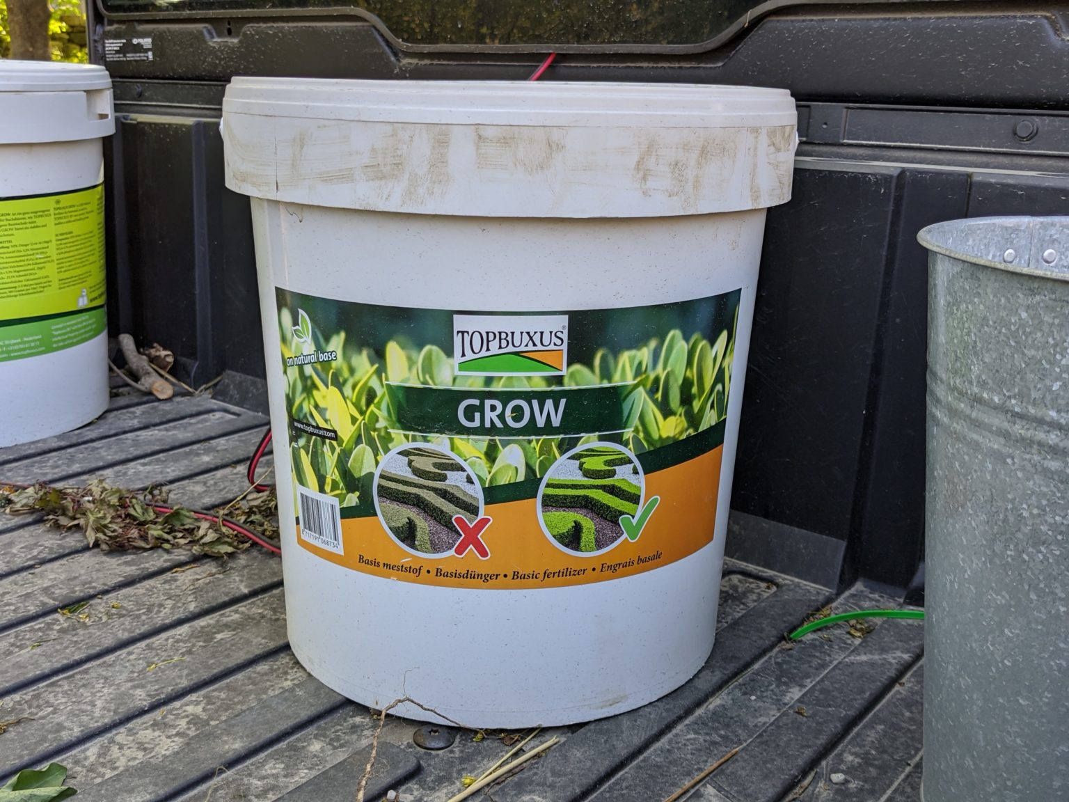 Caring for My Boxwood at the Farm The Martha Stewart Blog