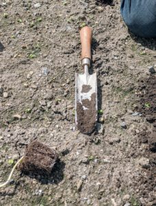 Phurba uses a narrow trowel. it is made of stainless steel, with a five-inch by three-inch blade and a five-inch handle.