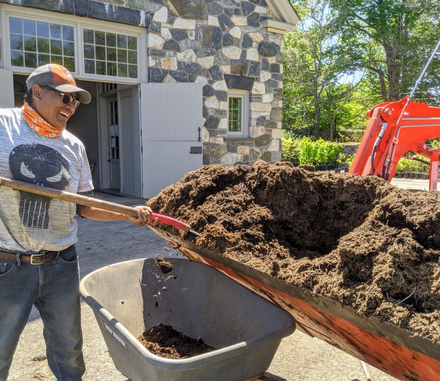 Planting a Hedge of European Beech Trees - The Martha Stewart Blog