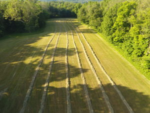 In my last blog, I shared photos of how my hay was cut, tedded, and raked. A tedder spreads and fluffs the hay in a uniform swath after the mower-conditioner has made the windrows. The windrows are all ready for baling, and it is another beautiful day here at my farm.