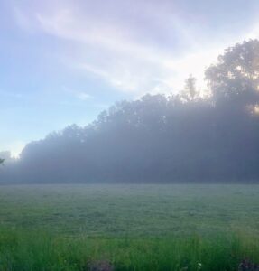 I live in a region where there is additional moisture, so when the air is cooled, and the vapor starts to condense, patches of fog emerge. Here is a photo that was taken across the field. Fog reduces visibility quite a bit.