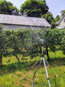 This tripod is angled to spray just above the tallest plantings in the dwarf apple espalier behind the carport.