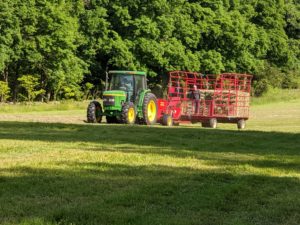 I have two hay trailers. Each one can hold about 150-bales. Carlos drives up and down the windrows of both the hayfields which takes about an hour.