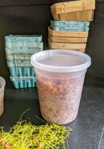 The quart-sized containers of berries are dated and then placed back into the freezer for later use. How do you like to use currants? Share your comments with me in the section below.