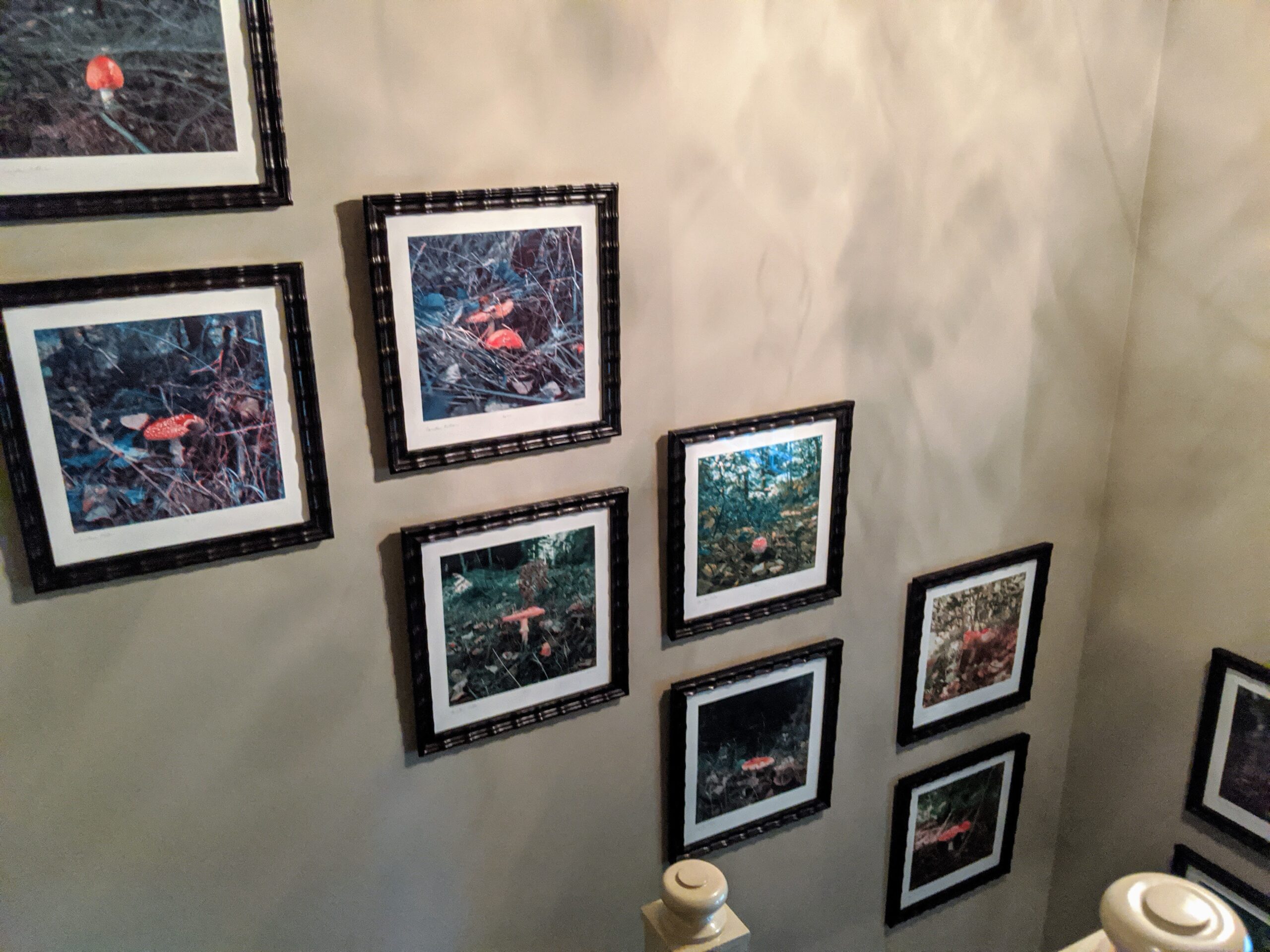 Hanging Artwork, Plates, and Mirrors - The Martha Stewart Blog