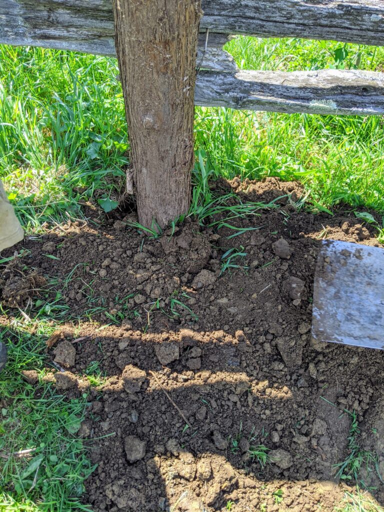 Replacing Fence Posts at the Farm - The Martha Stewart Blog