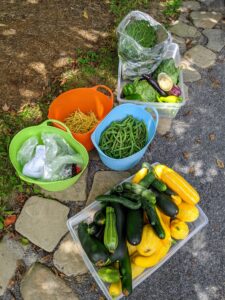 All the produce is loaded in trug buckets and bins and then brought up to my flower room and stored in the refrigerator. I am looking forward to many meals with all this wonderful produce – the fruits of our labor.