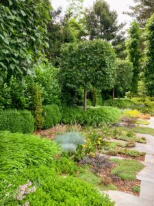 Dennis and Bill created this garden on the east side of the pool. It features a dental pattern bluestone planted with sedum and thyme. There are also clipped little leaf linden trees with boxwood, yew, and Hakonechloa, the Japanese forest grass.