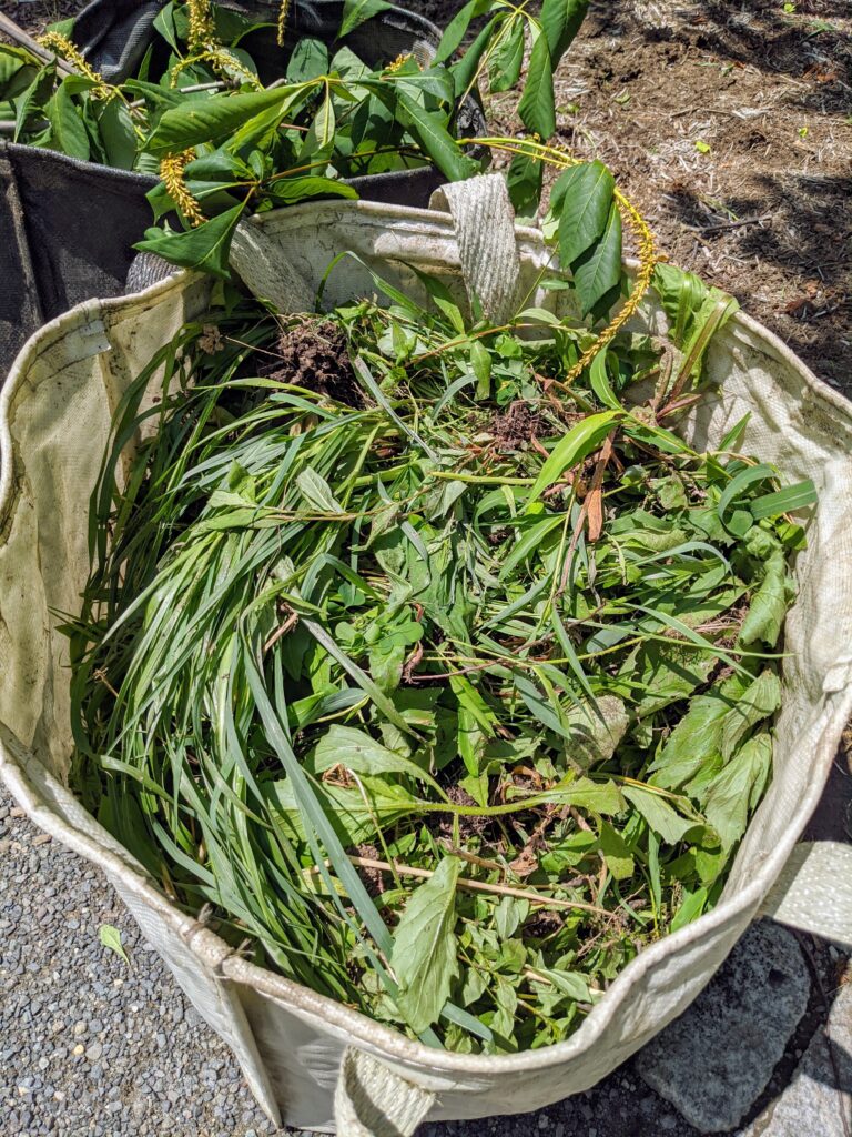 Weeding All Around the Farm - The Martha Stewart Blog