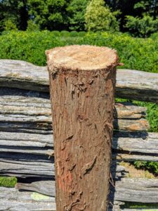 This post should last another 15-years or more. It is made of cedar. Cedar is extremely durable and holds up well to outdoor weather conditions.