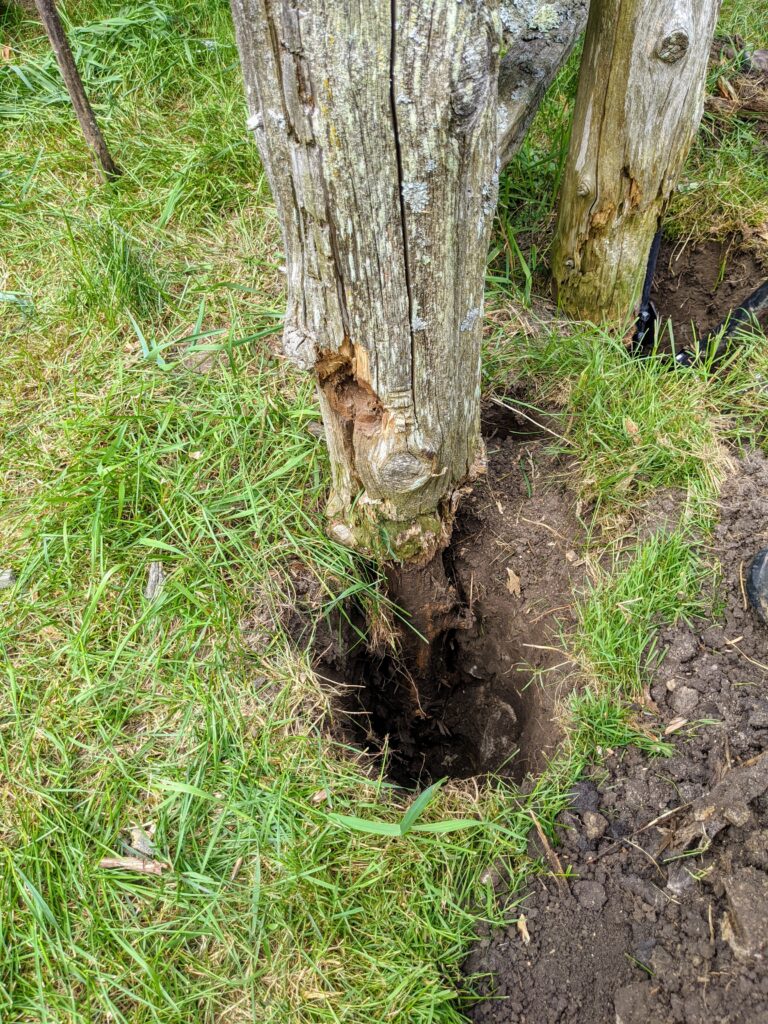 Replacing the Fence Gate Posts - The Martha Stewart Blog