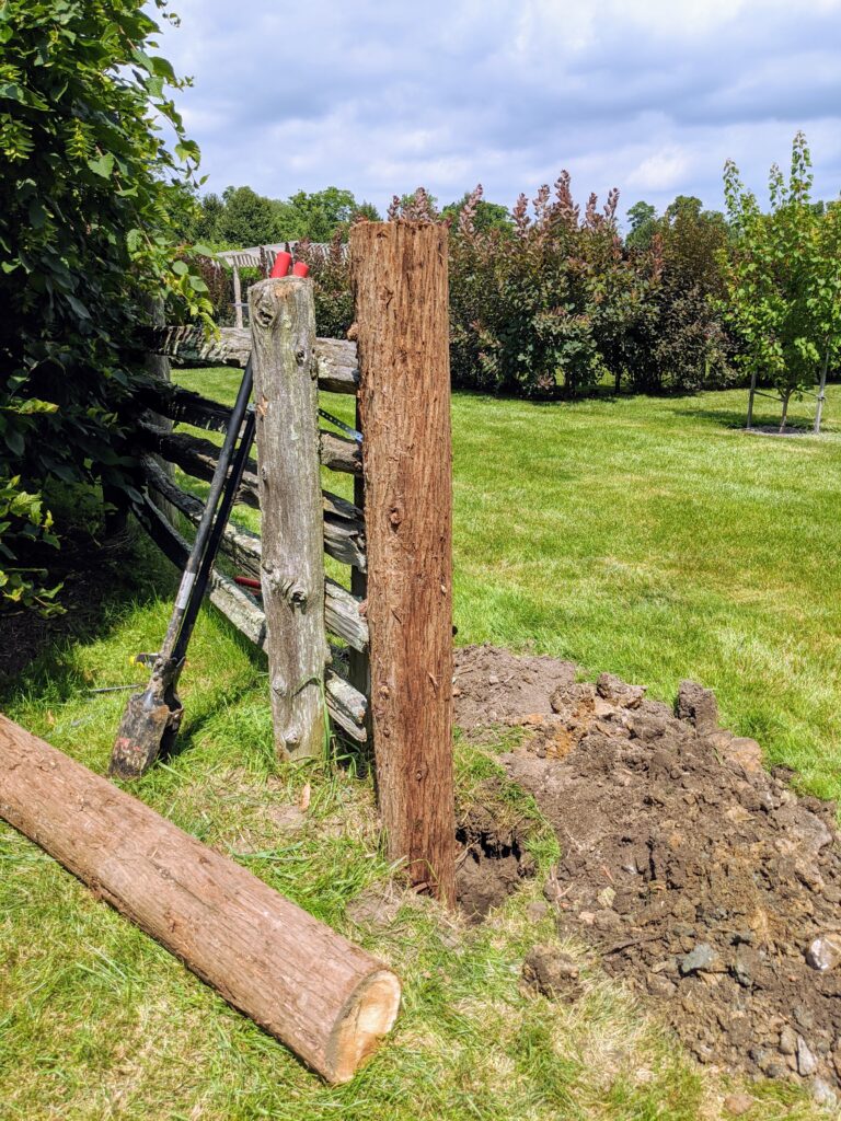 Replacing the Fence Gate Posts - The Martha Stewart Blog