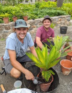Here are Brian and Ryan working on the plants, outdoors, so they can still practice safe social distancing.