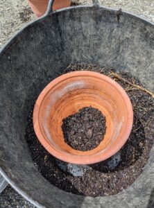 A little soil is placed at the bottom of the new pot.