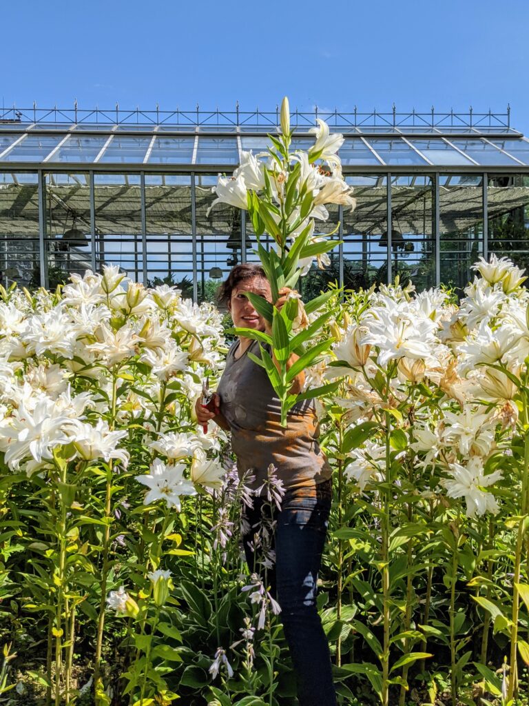 Cutting and Arranging Lilies The Martha Stewart Blog