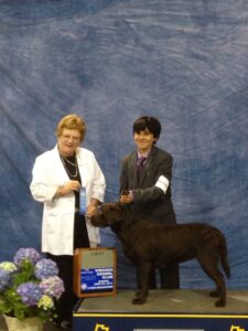 Here is a picture of me and Maggie at the first dog show I ever attended. Maggie won her class. It was a proud day for me and my family.