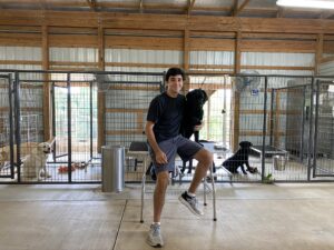 Here I am with Safari in front of my kennel I designed and built last March while safely sheltered at home. On the left are my adult females and on the right are my two puppies. It is always a good idea to separate puppies from older dogs as puppies have more energy than older dogs and could potentially get hurt playing with dogs larger than themselves. However, all my dogs are walked together daily and swim together regularly.