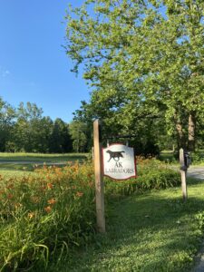 This great sign was sent to me by Karen as a birthday gift this year. It hangs proudly at the entrance of my family’s farm. The dog on the sign is a painting of Safari.