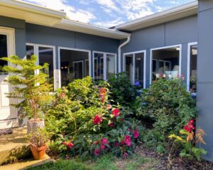 This is in our northeast backyard right in between the living room and office. This garden is beautiful from early spring until October. First the daffodils, then the allium, hydrangeas, hardy hibiscus, lilies – it has it all.