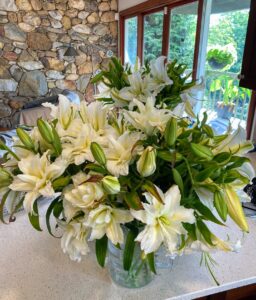 After a few weeks of cutting 30 to 40 lilies every few days, this was the very last crop to be harvested. Lilies do incredibly well in vases and always bring a redolent smell into the house.