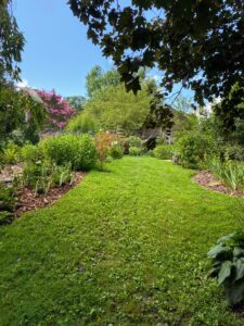 This alley, if you will, is surrounded by beds instead of umbrageous trees. It takes a steady hand and patience to carefully manicure the grass so it has this neat appearance while keeping the plants safe.