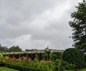 The day started with overcast skies that grew darker as the hours progressed. These skies are very gray over my long and winding pergola.