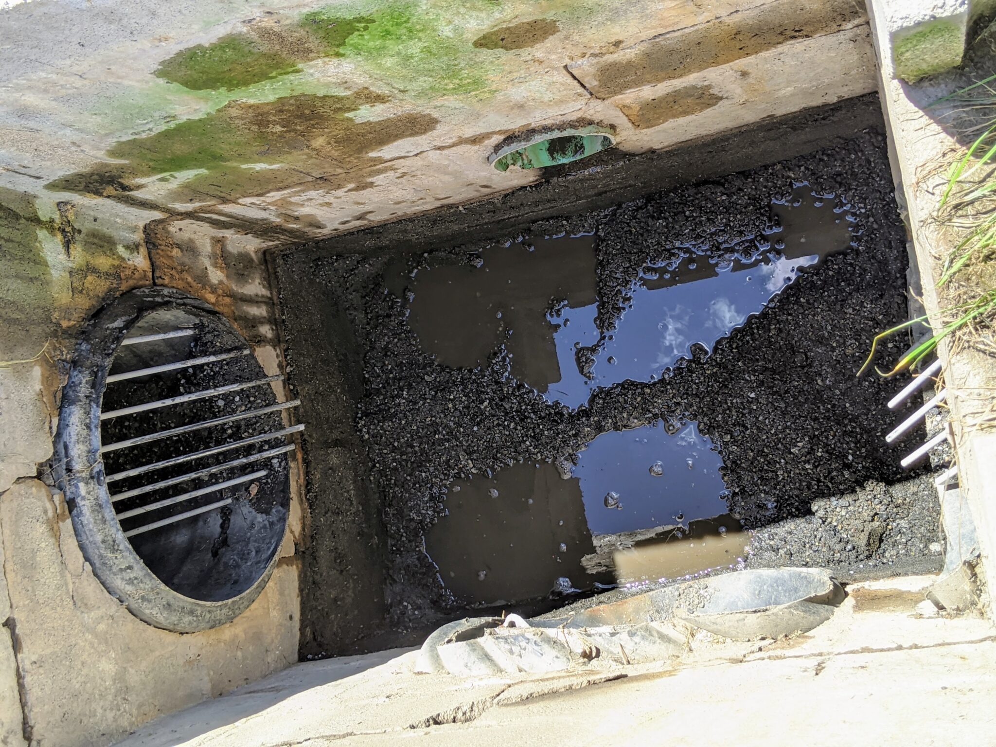 Cleaning Catch Basins Around My Farm The Martha Stewart Blog