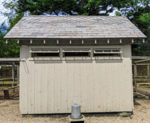 This is one of my four coops. These coops are cleaned thoroughly every week. Before choosing to raise chickens, always check with local planning and zoning authorities to be sure chickens are allowed in your area.