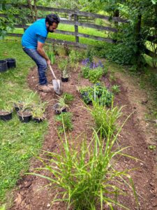 I am a strong believer that a garden is never done and that you can never have enough! This garden was started a day or two before my birthday in June in the gym backyard. Here, Lorenzo begins strategically planting the plants I had selected for this garden. This fall I intend on making at least two more flower gardens: one for next year’s lilies and a bonafide cut hydrangea garden. I look forward to watching this garden mature over the next few years and adding plants.