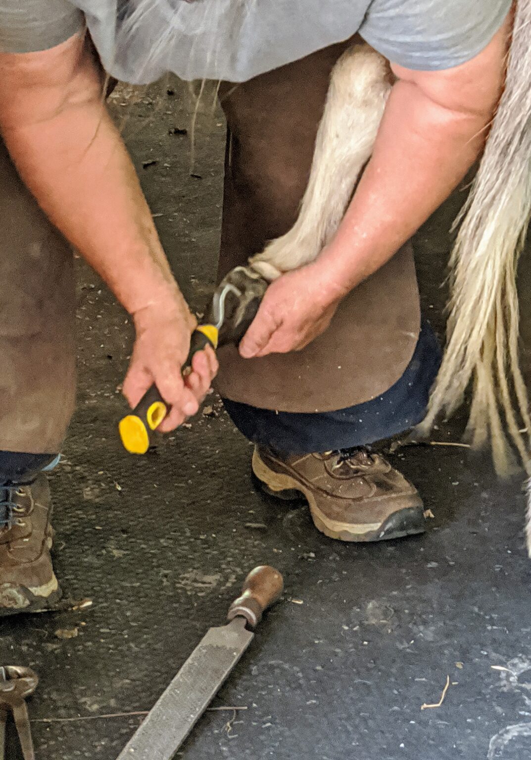Trimming the Donkeys' Hooves The Martha Stewart Blog