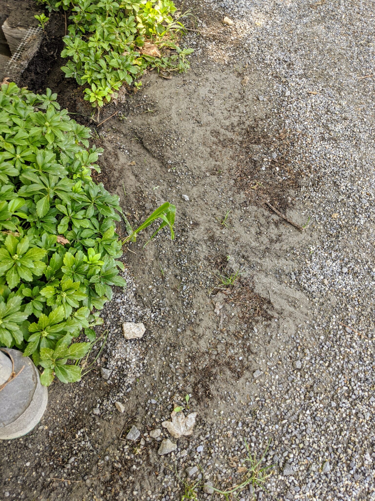 Cleaning Catch Basins Around My Farm The Martha Stewart Blog