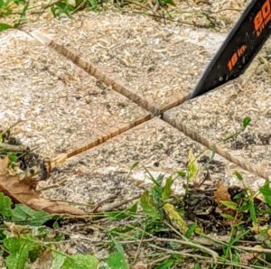 Most of the time when a tree is removed, its root system remains alive. To help the tree rot more quickly, we make an “x” shaped plunge cut in the center of the leftover stump.