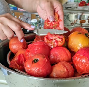 Next, the tomatoes are cut in half to expose all the seeds. And then Enma removes all the seeds inside. Any discarded tomato parts go to my chickens.