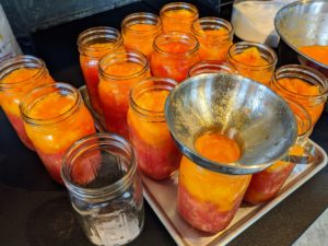 I have been canning for many years and have always loved putting up jars of tomatoes, especially when the fruit is from my very own garden. We placed the tomato pieces into the jars with a wide-mouth funnel – these are very handy. The purpose of a canning funnel is to keep jar rims cleaner and to prevent waste. If you don’t have a funnel, place the jars on a plate or tray to catch any drips.