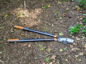 Loppers are the second most useful tool for pruning. The long handles allow farther reach and better leverage with minimal exertion.