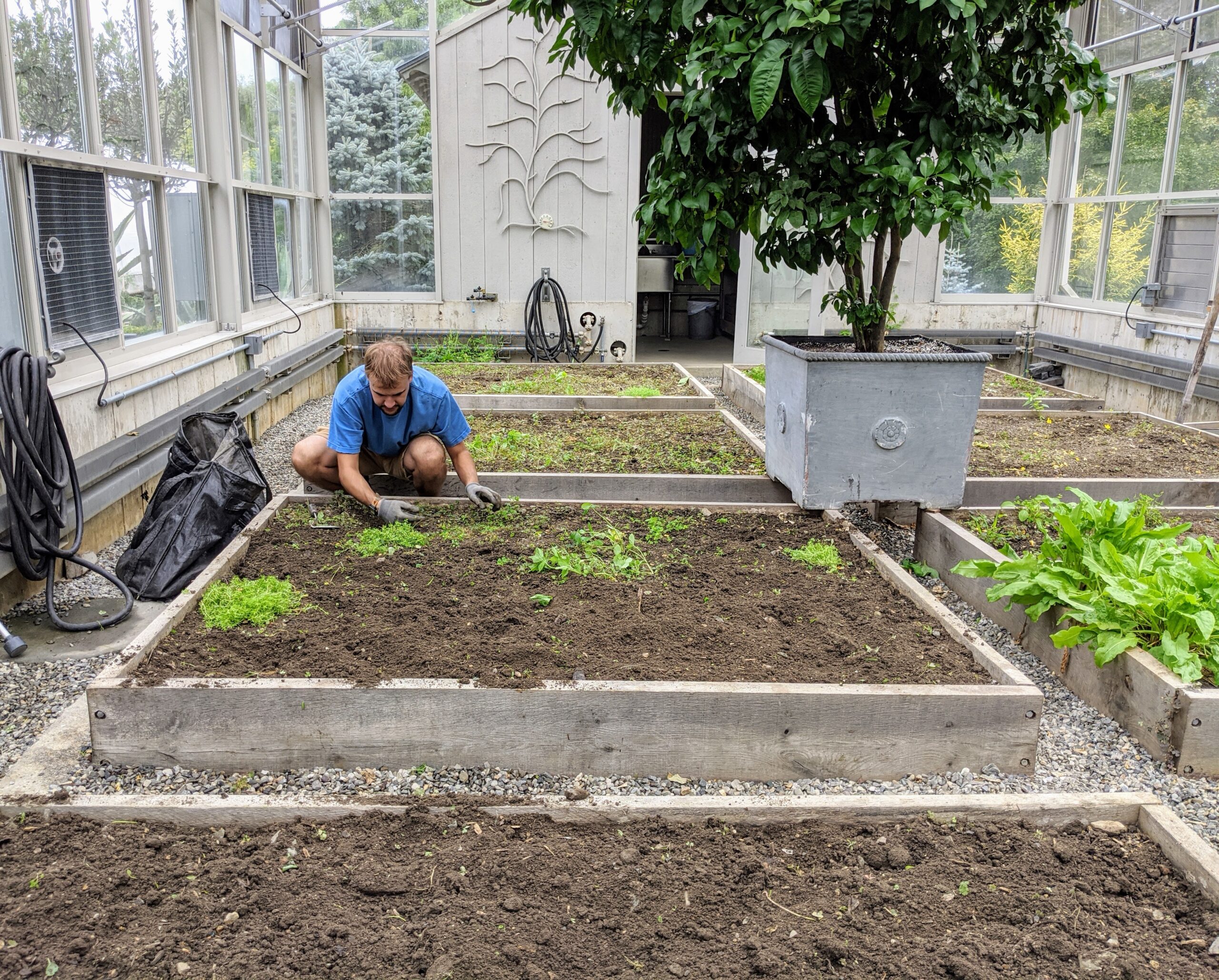 glass patio planters vegetable garden