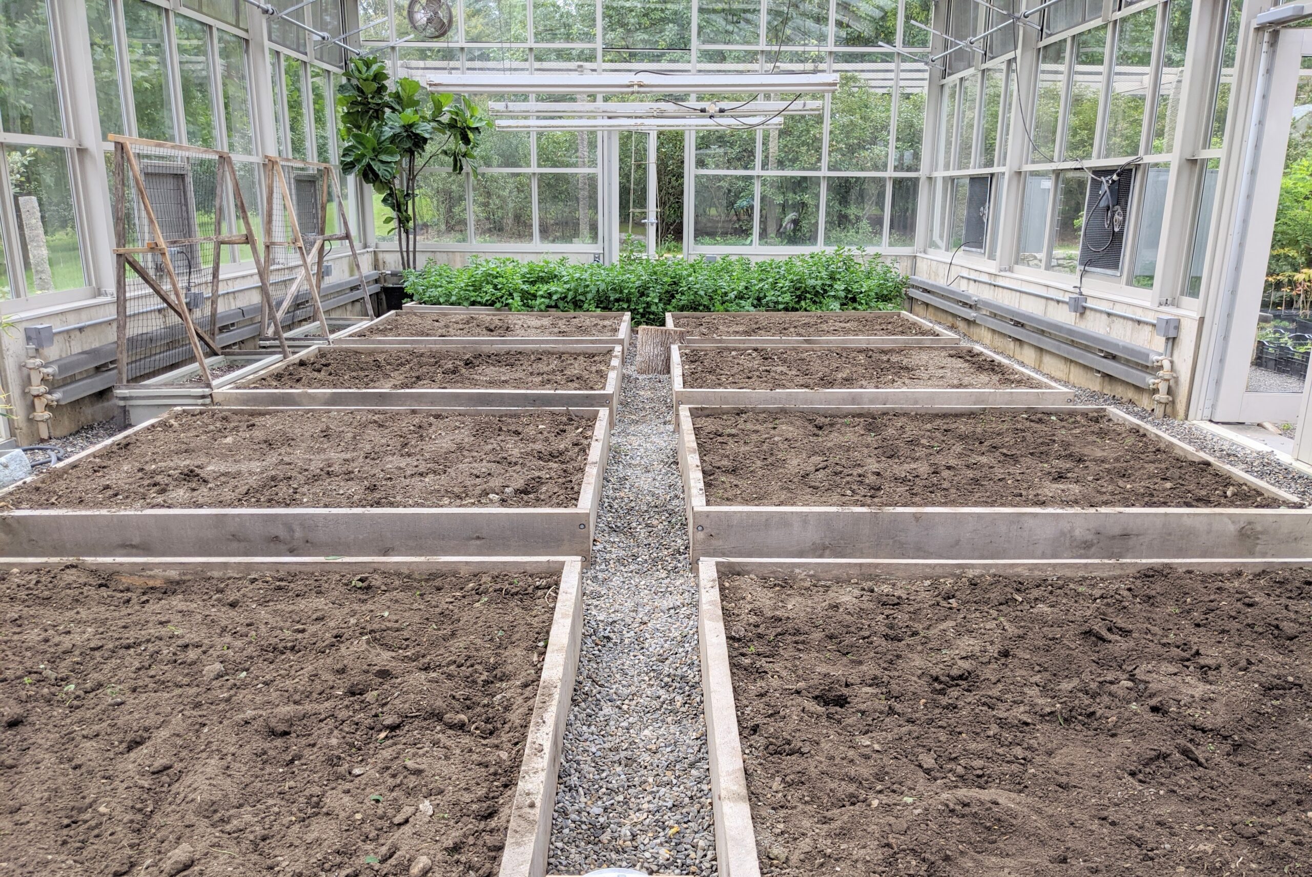 Vegetable Greenhouse Beds For Planting